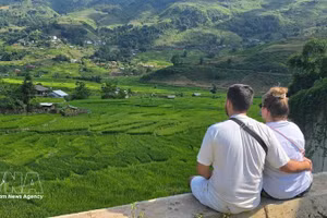 Иностранные туристы с интересом любуются зелёными рисовыми полями в Та Ван. (Фото: ВИА)