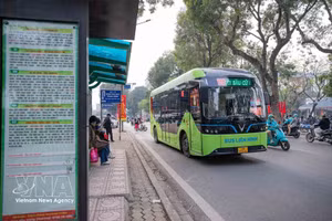 С 1 апреля Ханой вводит в эксплуатацию 10 маршрутов электрических автобусов с 288 транспортными средствами. (Фото: ВИА)