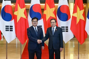 Всеобъемлющее стратегическое партнёрство между Вьетнамом и Республикой Корея