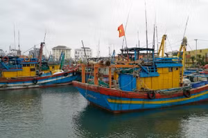 Зялай ориентируется на поэтапное сокращение добычи и развитие высокотехнологичной аквакультуры. (Фото: ВИА)