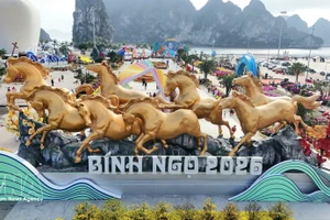 Панорама пространства «Аллея цветов и световых технологий», сверкающего огнями на берегу залива — объекта мирового наследия. (Фото: ВИА)