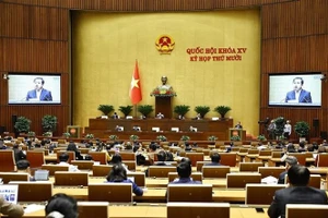 Министр сельского хозяйства и окружающей среды Чан Дык Тханг дал разъяснения и уточнил ряд вопросов, поднятых депутатами Национального собрания. (Фото: ВИА)