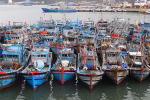 Дананг усиливает соблюдение правил ННН-промысла