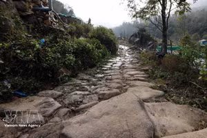 Раскрытие потенциала развития экологического туризма на древней каменной дороге, соединяющей Лайчау и Лаокай