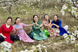 Грушевый сад цветет белым ковром в приграничной общине Фобанг.