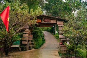 Скрытая на середине склона горы Сон-бак-май, на высоте более 1 500 м над уровнем моря и примерно в 30 км от города Лайчяу, деревня Син-суой-хо (коммуна Син-суой-хо, провинция Лайчяу) пленяет любителей путешествий величественными природными ландшафтами и прохладным климатом. (Фото: Вьетнам+)