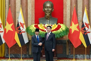 [Фото] Президент Вьетнама Лыонг Кыонг провел переговоры с Султаном Брунея-Даруссалама Хаджи Хассаналом Болкиахом