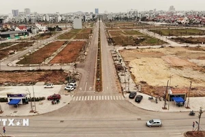 Один из районов южной городской зоны провинции Бакзанг, где стоимость разделённых земельных участков выросла до 2–4 миллиардов донгов за участок. (Фото: ВИА)