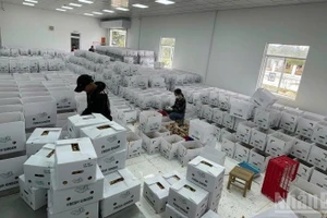 За первые два месяца 2026 года число вновь созданных предприятий увеличилось на 70,7%