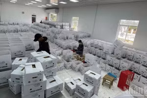 За первые два месяца 2026 года число вновь созданных предприятий увеличилось на 70,7%