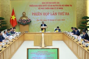 Премьер-министр Фам Минь Тьинь председательствует на заседании. (Фото: ВИА)