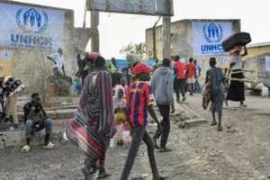 Гуманитарная автоколонна в Дейр-аль-Балах, центральная часть сектора Газа. (Фото: Синьхуа/ВИА)