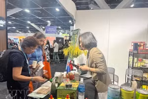 Международные посетители впечатлены вьетнамской продукцией благодаря её натуральному вкусу и привлекательному дизайну упаковки. (Фото: ВИА)