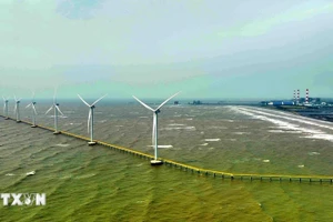 Ветряные турбины на ветроэлектростанции Республика Корея - Чавинь. (Фото: ВИА)