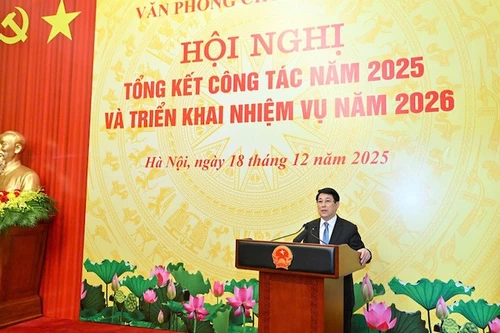 Президент Лыонг Кыонг выступает на конференции. 