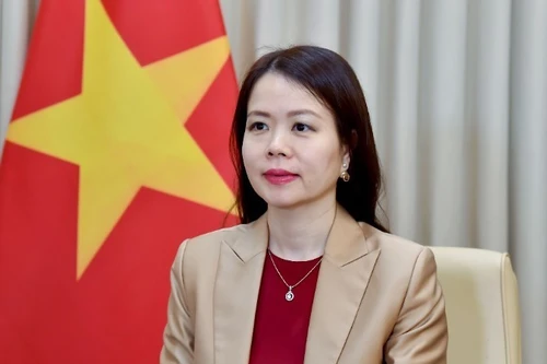 Заместитель министра иностранных дел Нгуен Минь Ханг. Фото: МИД Вьетнама