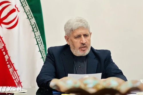 Временный поверенный в делах Ирана во Вьетнаме Мохаммад Мирали Мохаммади выступает на встрече. Фото: ВИА