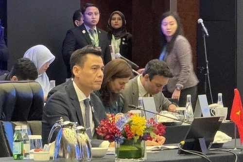 Заместитель министра иностранных дел Данг Хоанг Зянг на мероприятии. Фото: ВИА