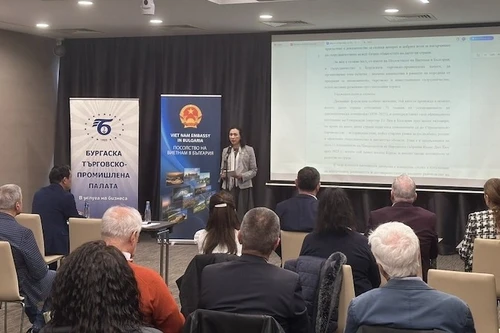 Посол Нгуен Тхи Минь Нгует выступает на беседе. Фото: baoquocte.vn