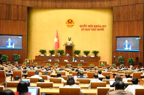 Общий вид заседания 24 ноября. Фото: Зюи Линь