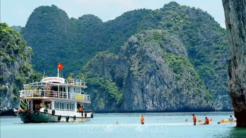 В Хайфоне находится объект всемирного природного наследия Катба. Фото: ВИA