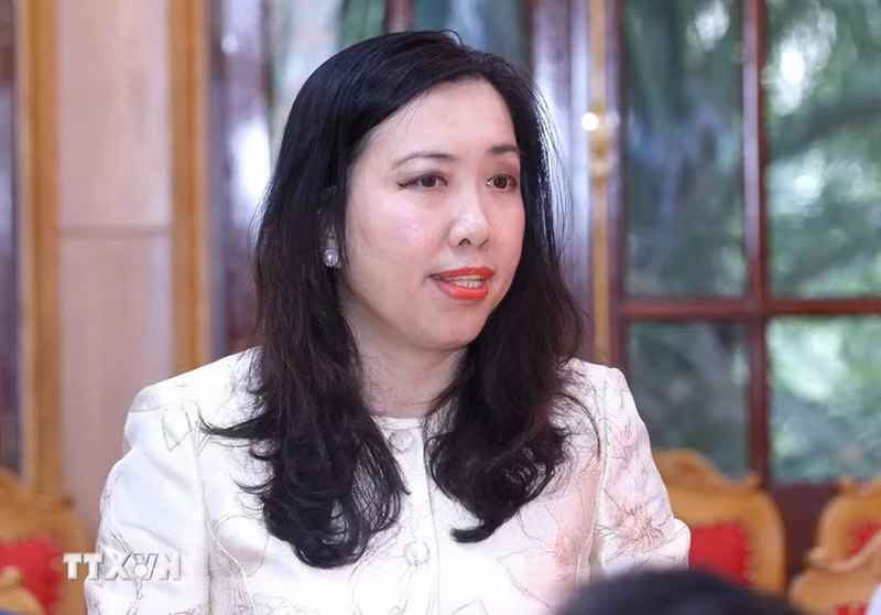 Заместитель министра иностранных дел Вьетнама Ле Тхи Тху Ханг. Фото: ВИА