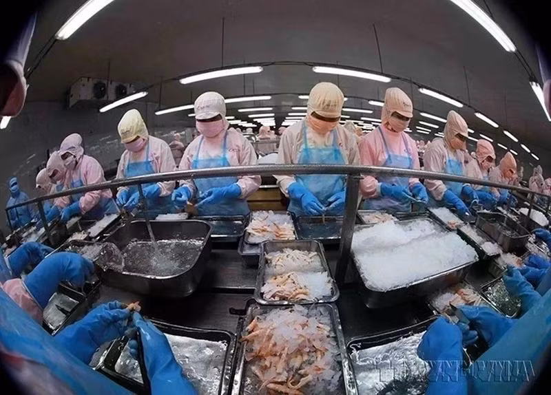 Вьетнам занял пятое место на рынке морепродуктов Сингапура. Фото: ВИA