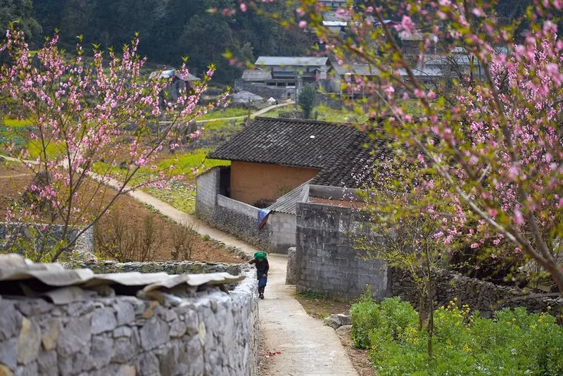 Весенние цветы придают яркие краски величественному карстовому плато Донгван. Фото: ВИA