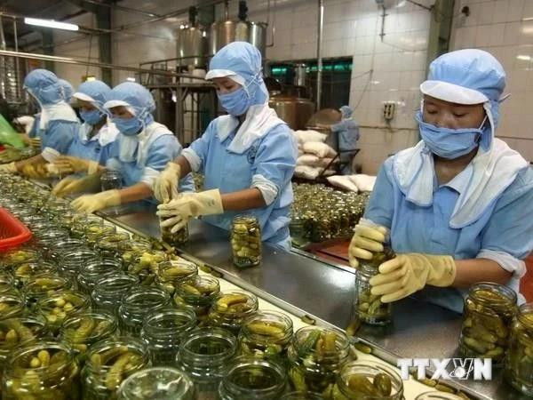Рабочие обрабатывают сельскохозяйственную продукцию для экспорта. Фото: ВИA