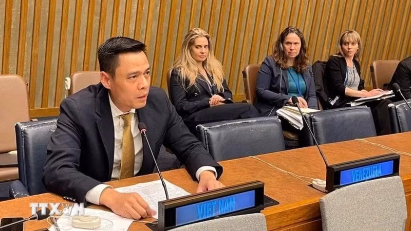 Посол Данг Хоанг Жанг выступает на заседании. Фото: ВИА