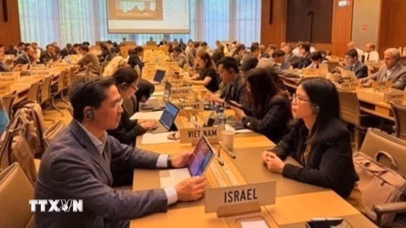 Вьетнам участвует в заседаниях по вопросам торговой защиты в ВТО