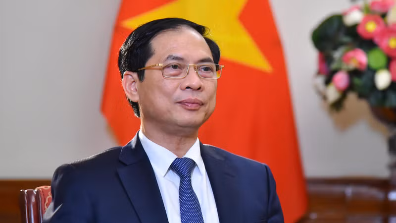 Министр иностранных дел Вьетнама Буй Тхань Шон. Фото: МИД Вьетнама