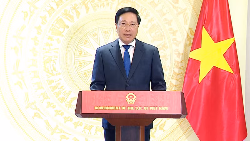 Постоянный вице-премьер Вьетнама Фам Бинь Минь. Фото: МИД Вьетнама