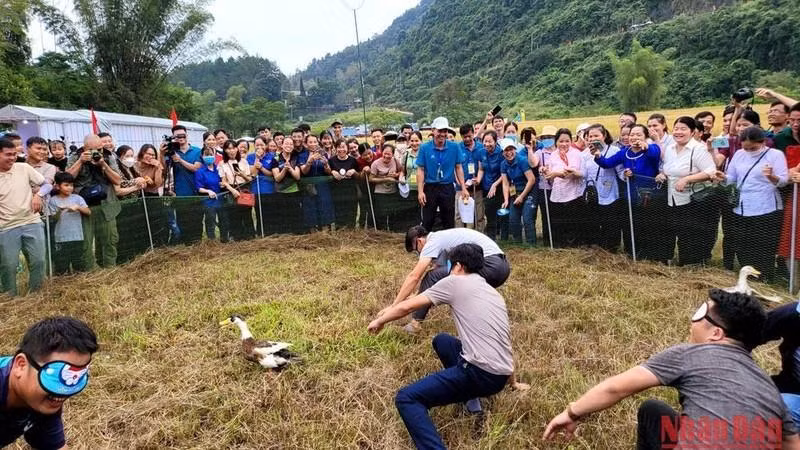 Народные игры. Фото: Минь Туан