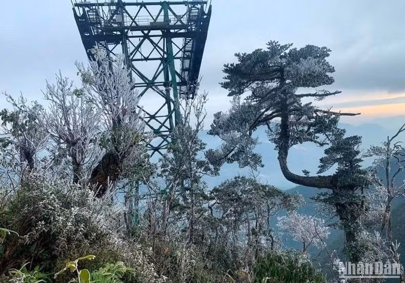 Вид с канатной дороги. Фото: Куок Хонг