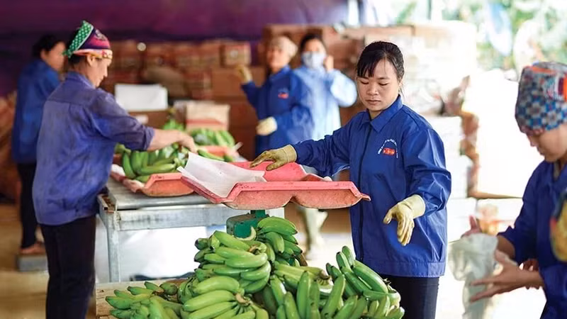 Иллюстрация. Фото: baodautu.vn