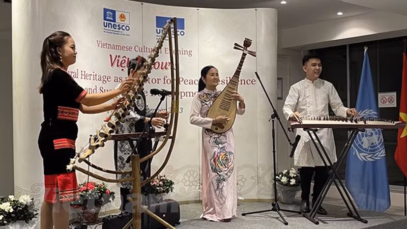 Выступление вьетнамских артистов на культурном вечере. Фото: ВИА