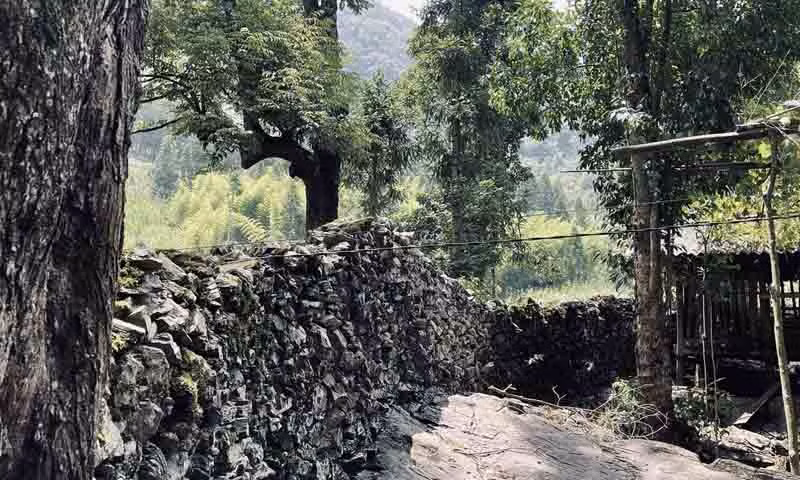 Характерной чертой деревни Шаоха являются каменные заборы высотой около 1,5 м.