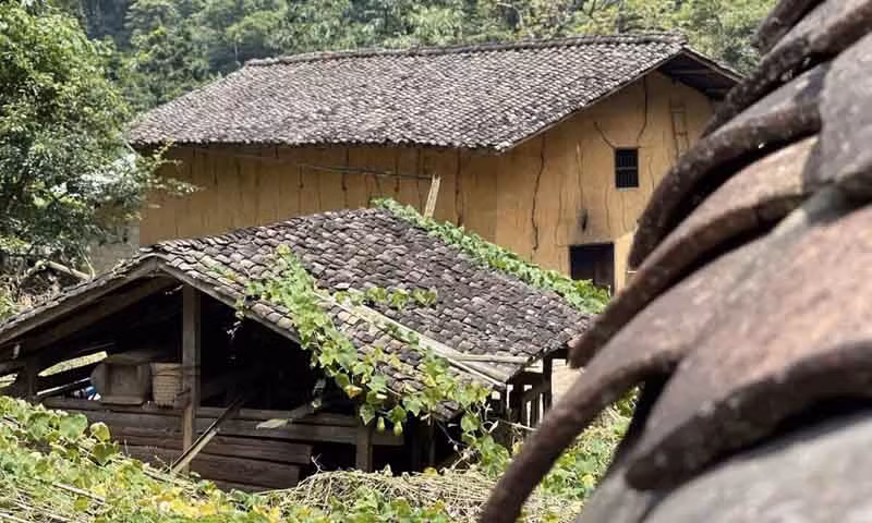 В деревне проживают 22 семей народности Хмонг, все они носят фамилию Ванг. Дома здесь сделаны из утрамбованной земли и окружены девственным древним лесом площадью около 500 га.