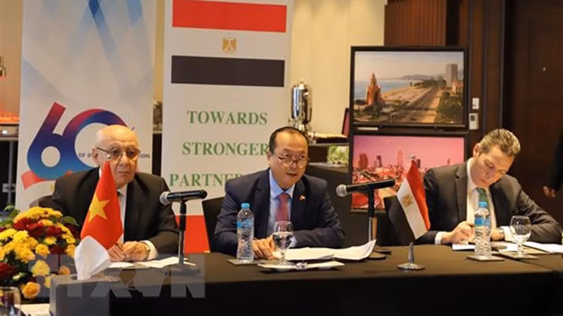 Посол Вьетнама в Египте Нгуен Хюи Зунг выступает на семинаре. Фото: ВИА