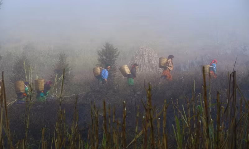 Выращивание кукурузы – традиционное и популярное занятие жителей каменного плато Донгван, в целом, и жителей деревни Шаоха, в частности. Их основное блюдо – «менмен», что означает кукурузный рис.