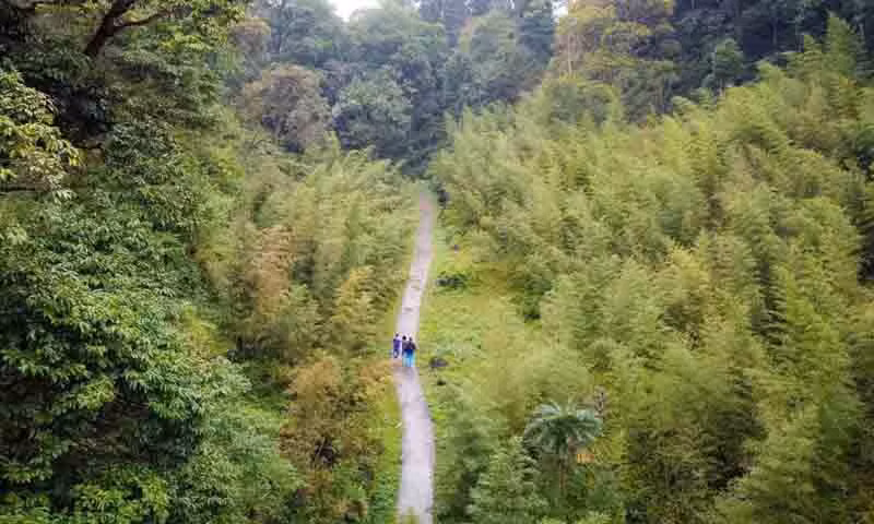 Из уезда Йенминь посетители должны проехать путь длиной почти 17 км. У подножия склона Тхамма им нужно пройти еще около 4 км, чтобы добраться до общины Вантяй. Чтобы добраться до деревни Шаоха, расположенной глубоко в лесу, посетители должны проехать на мотоцикле около двух километров.