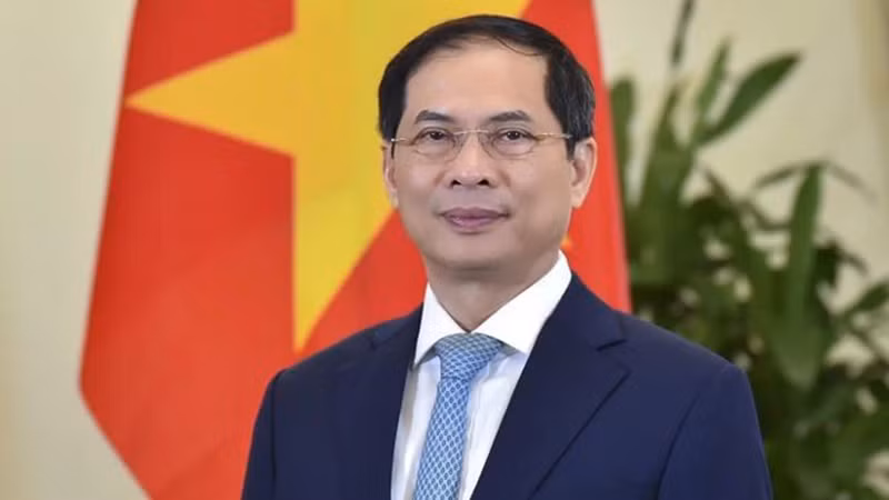 Министр иностранных дел Вьетнама Буй Тхань Шон. Фото: ВИА