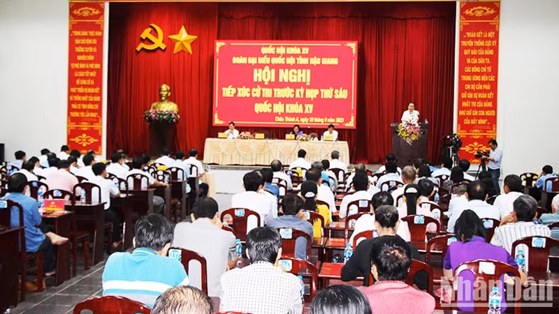 Общий вид встречи.