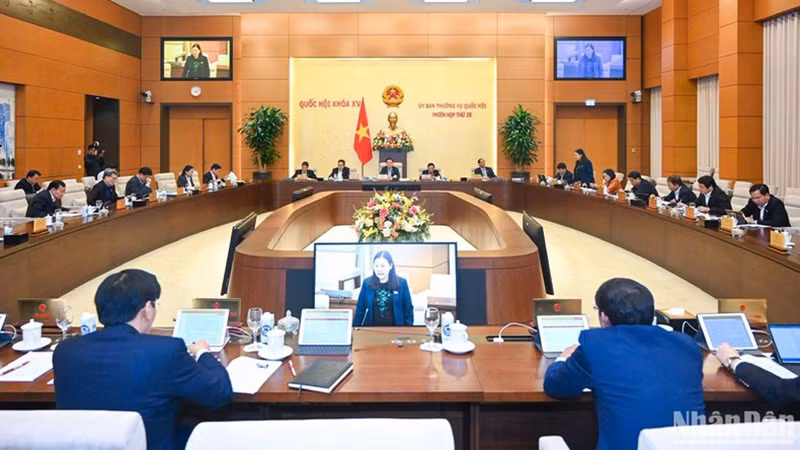 Общий вид заседания. Фото: Зюи Линь