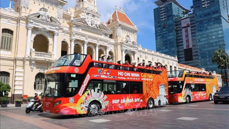 Туристические автобусы в городе Хошимине. Фото: ВИА