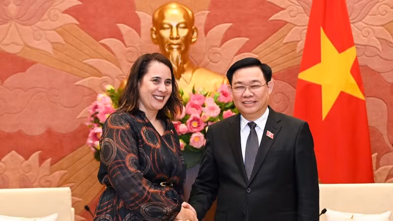 Председатель НС Выонг Динь Хюэ принимает Посла Новой Зеландии Тредена Добсона. Фото: Зюи Линь