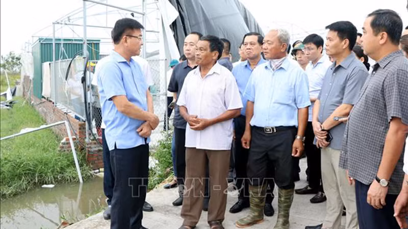 Вице-премьер Ле Тхань Лонг проверяет ход работы по ликвидации последствий тайфуна №3 в провинции Хайзыонг. Фото: ВИА