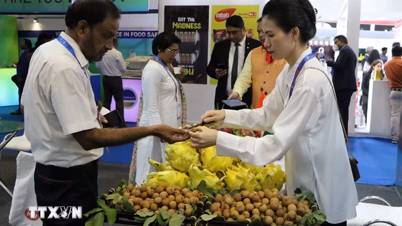 Вьетнамский стенд на выставке. Фото: ВИА