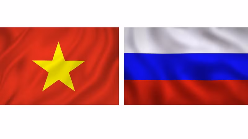 Договор об основах дружественных отношений между Вьетнамом и Россией является историческим документом, имеющим большое значение. Фото: vietnamplus.vn